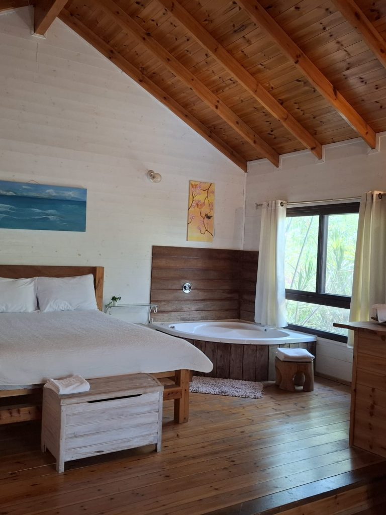 מיטה וגקוזי